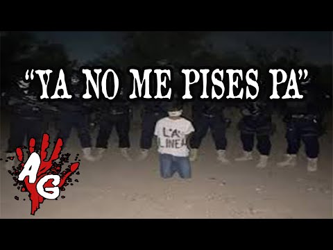 WATCH : no me pises pa video