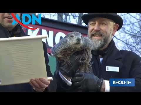 Did phil see his shadow 2025