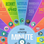 MINUTE IN INTERNET 2020