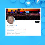 Elon Musk réintègre Trump sur Twitter après un sondage