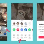 Nouveauté TikTok : découvrez pourquoi une vidéo est recommandée dans votre flux For You