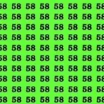 Quizz 58