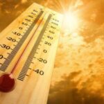IMGBN98198temp