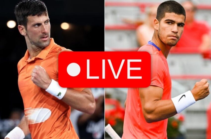 Djokovic Alcaraz Score En Direct Layne Myranda