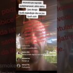 watch nermin sulejmanovic live v