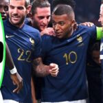 france irlande 2 0 voir les buts