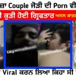 kulhad pizza viral video new