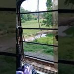 saharsa viral video