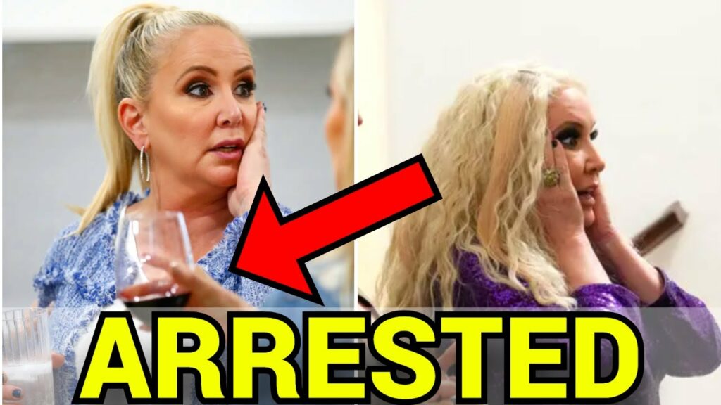 shannon beador dui shannon beador dui