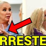 shannon beador dui 3 shannon beador dui