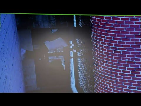  Video of prison escape