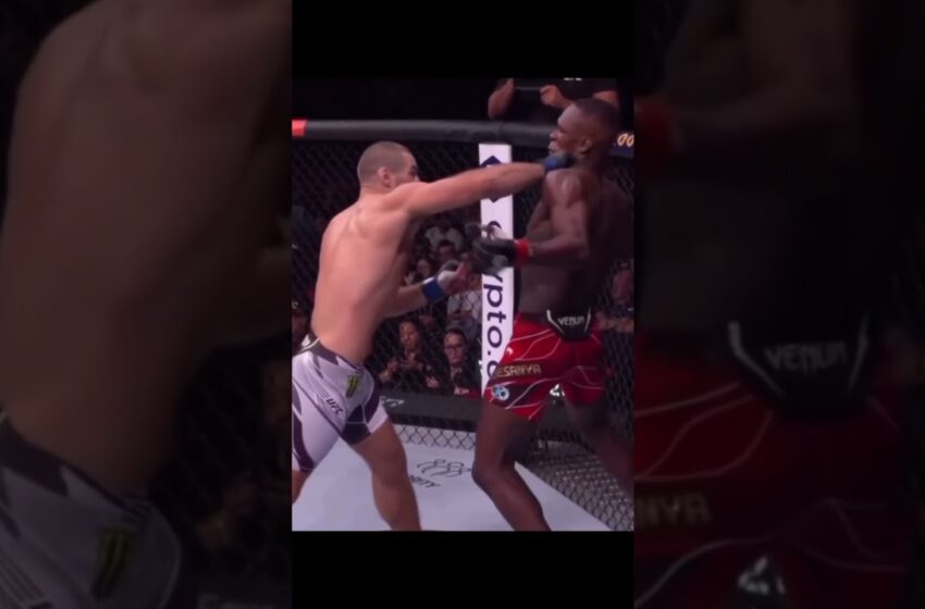  Watch : israel adesanya dog video