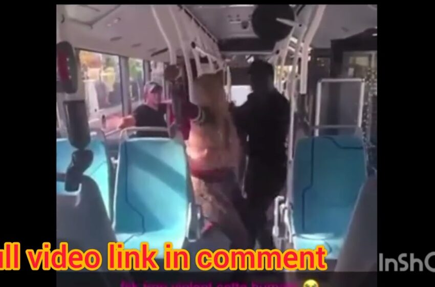  292 bus video bagarre en entier