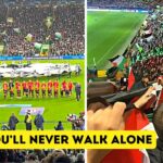 celtic fans sing youll never wal