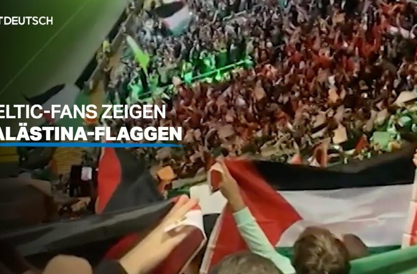  Celtic-Fans zeigen Palästina-Flaggen