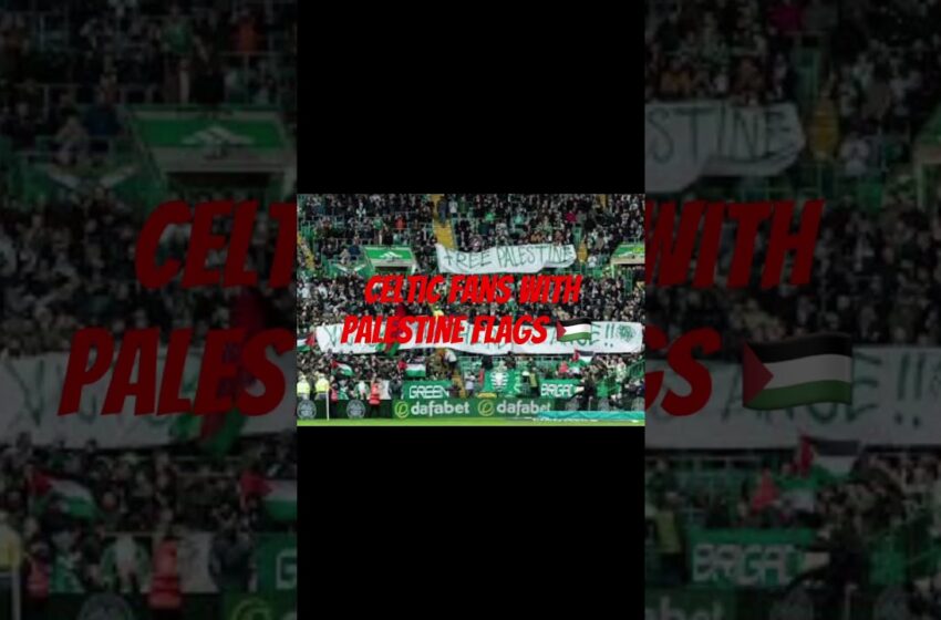  celtic fc palestine video