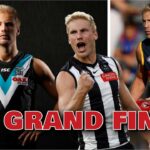 dan mcstay video