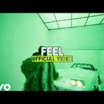 davido feel full video