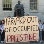 harvard palestine solidarity gro
