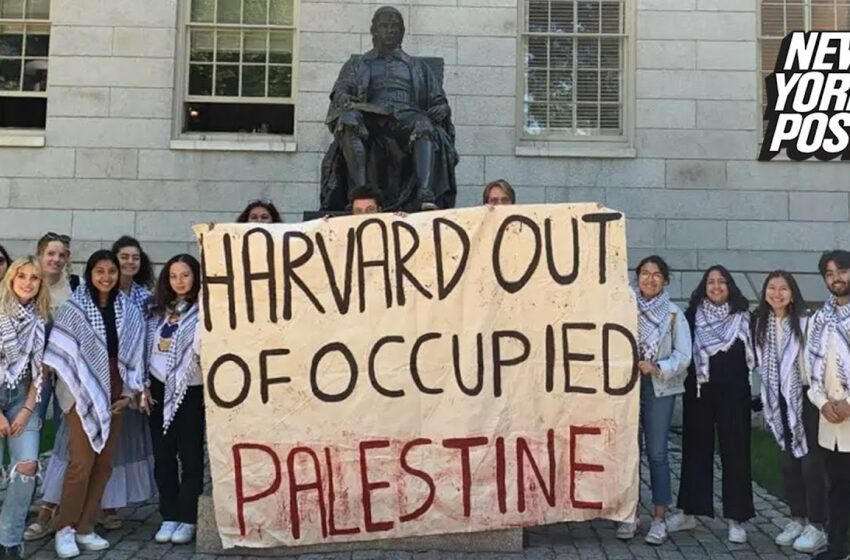 Harvard Palestine Solidarity Gro 850x560 