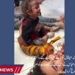 hospital strike gaza full video
