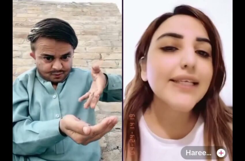  waseem vs hareem shah live tiktok