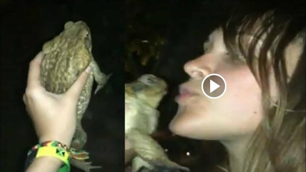 frog and women full video viral