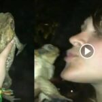 frog and women full video viral