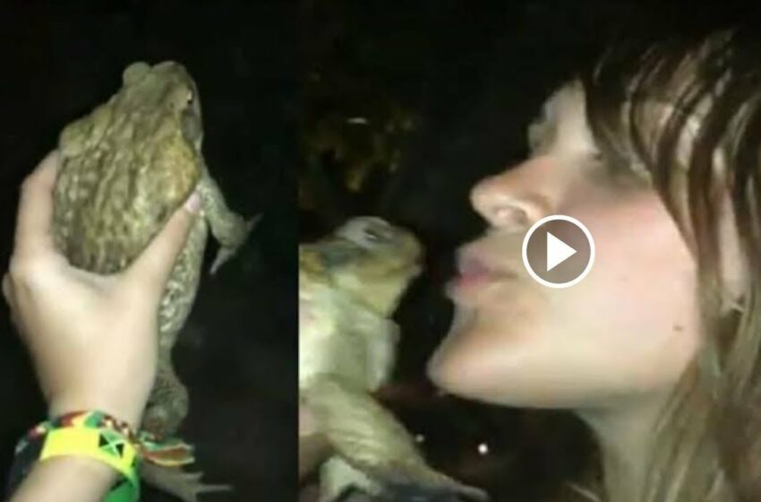  frog and women full video viral twitter