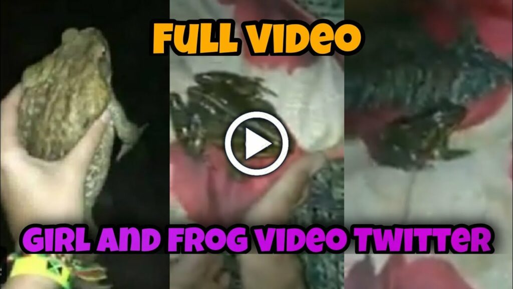 frog video viral twitter