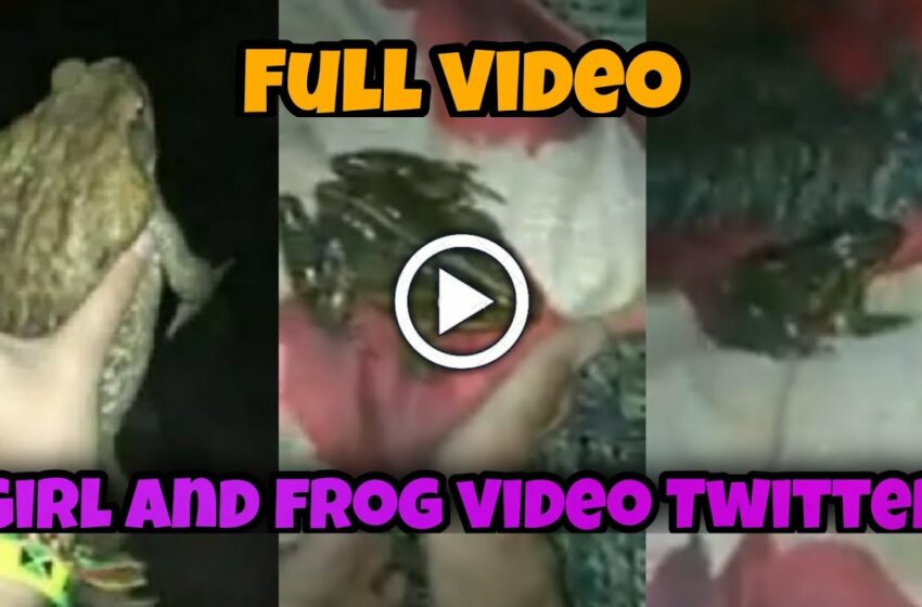  frog video viral twitter