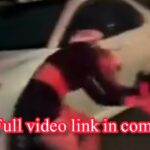 gia vs josie fight video