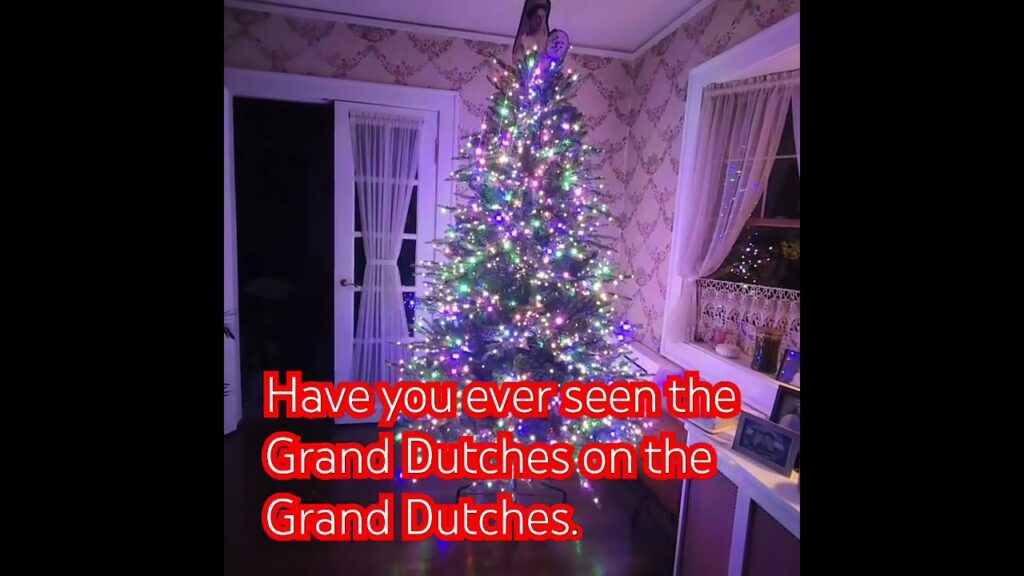 grand duchess christmas tree