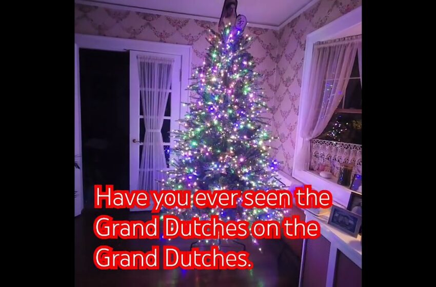  grand duchess christmas tree