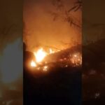 kebakaran penanggungan full vide