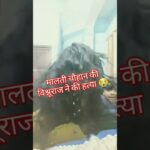 malti chauhan ka murder video