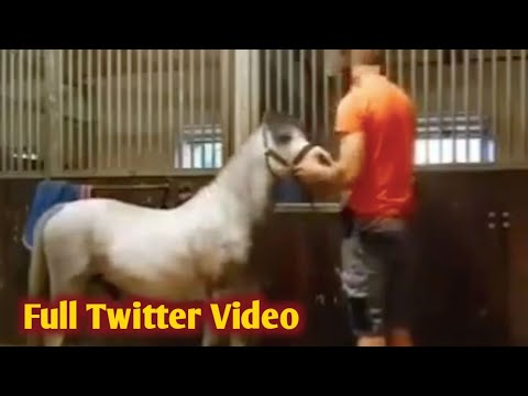  man and horse viral video