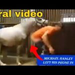 michael hanley mr hands horse vi