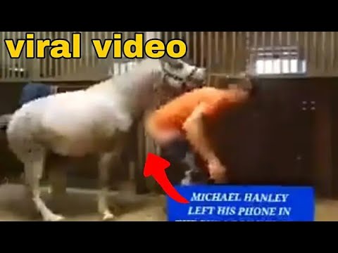  Michael Hanley Mr Hands horse Video