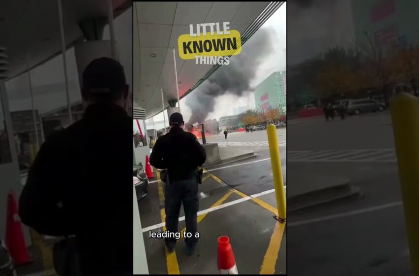  Shocking Rainbow Bridge Bentley Crash Video