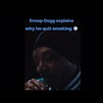 snoop dogg solo stove