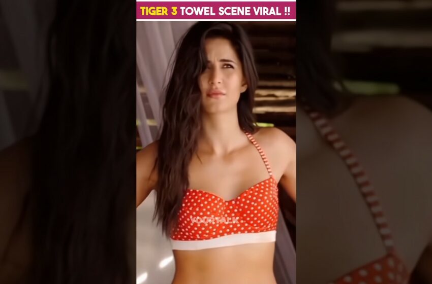  Tiger 3 Towel Scene Viral