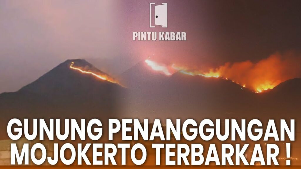 video kebakaran hari ini