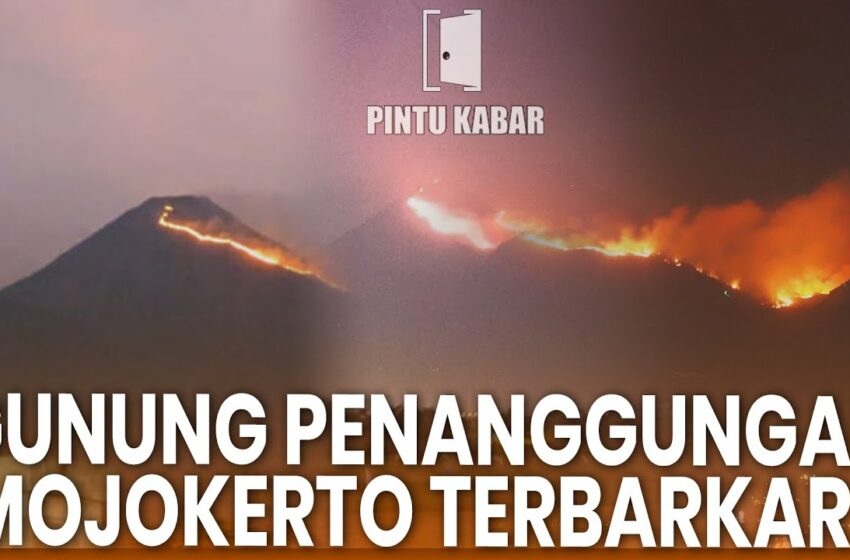  Video : kebakaran hari ini