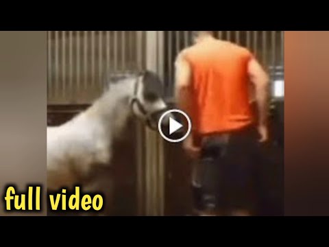 watch michael hanley horse video