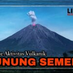 3 desember hari apa viral tiktok