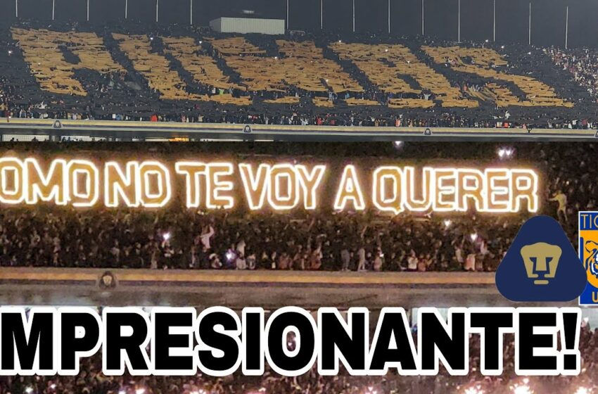  Así RECIBIO la REBEL a PUMAS – ¡INCREIBLE! – Pumas vs Tigres SEMIFINALES