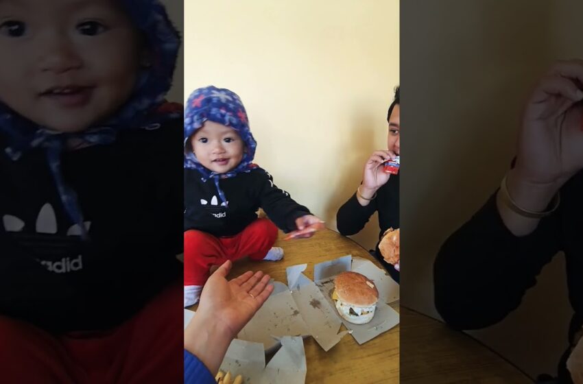  baby hamburger viral video