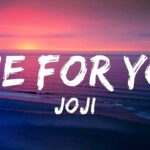 die for you lyrics