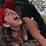 eva lefebvre video original